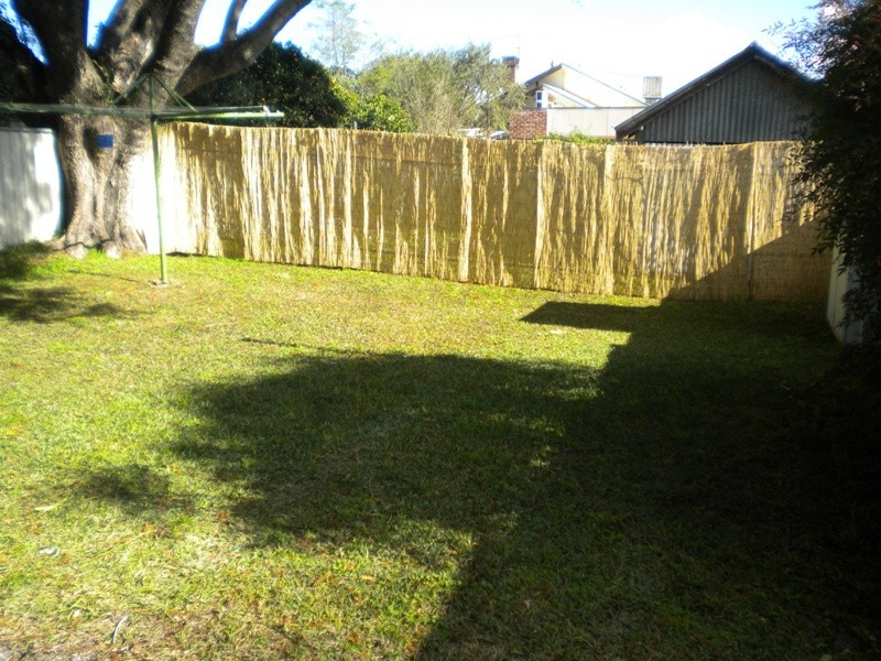 53  Carthage Street, Tamworth NSW 2340