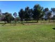 984 Manilla Road, Hallsville NSW 2340