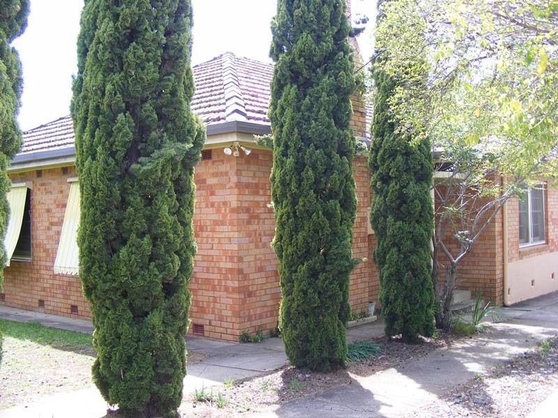28 Parry Street, Tamworth NSW 2340
