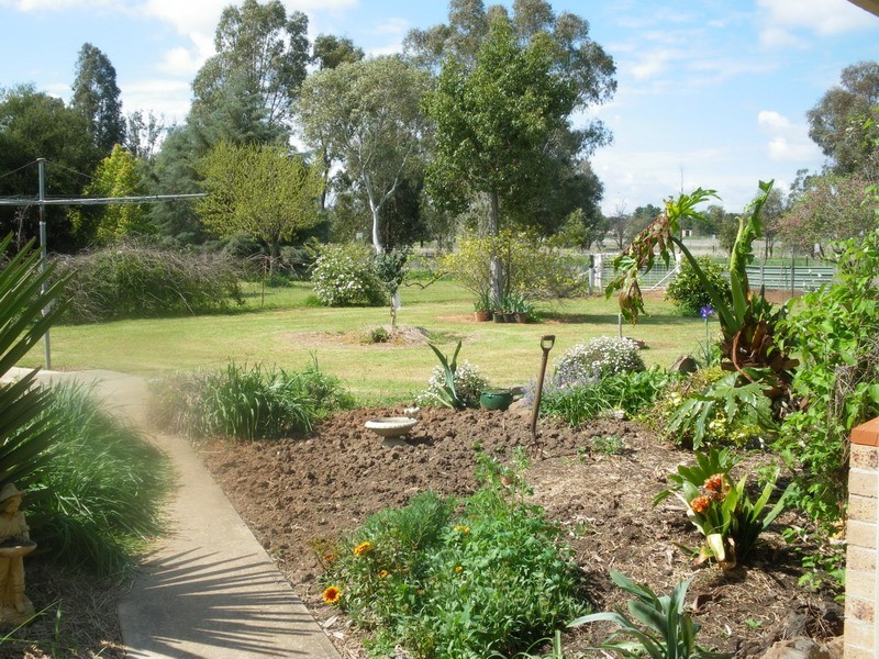 252 Meldorn Lane, Tamworth NSW 2340