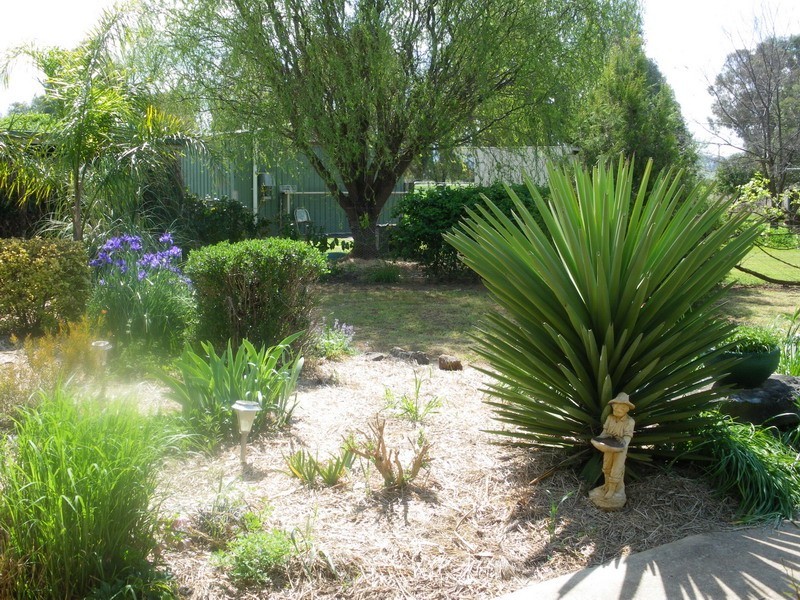 252 Meldorn Lane, Tamworth NSW 2340