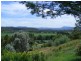 250 Back Kootingal Road, Tamworth NSW 2340