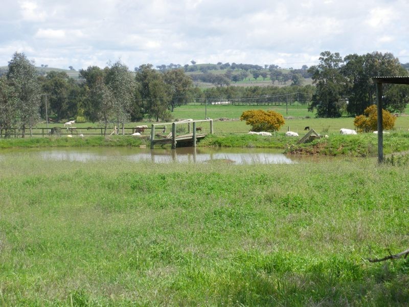 69 Onslow-Thompson Road, Tamworth NSW 2340