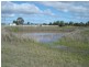 307 Whitehouse Lane, Tamworth NSW 2340