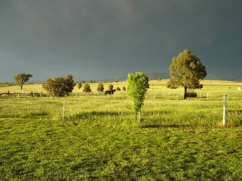307 Whitehouse Lane, Tamworth NSW 2340