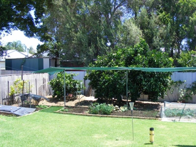 12 Warren Street, Tamworth NSW 2340