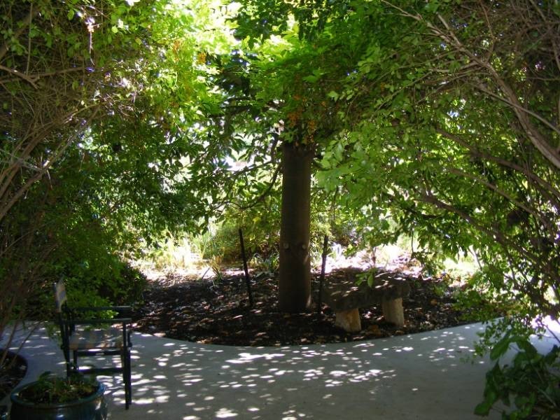 1 Valley Drive, Tamworth NSW 2340