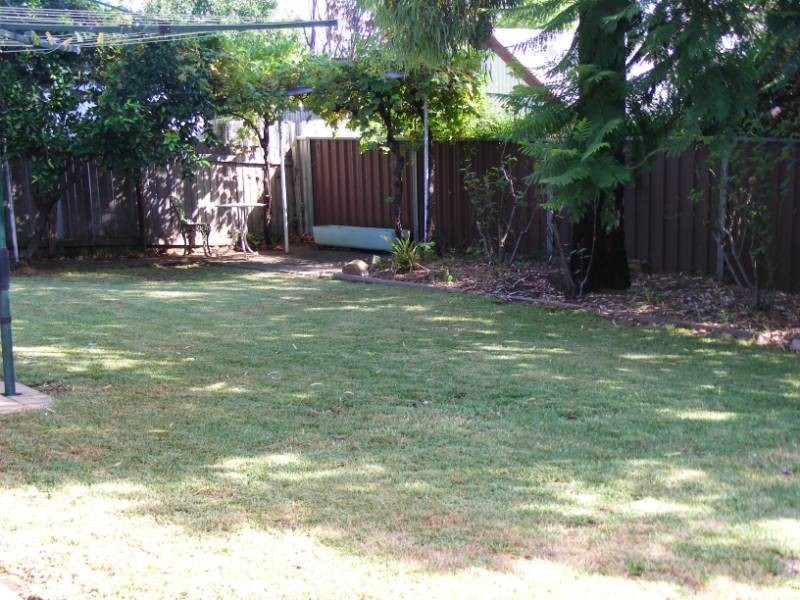 7 Douglas Avenue, Tamworth NSW 2340