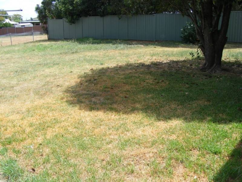 6 Yangoora Street, Tamworth NSW 2340