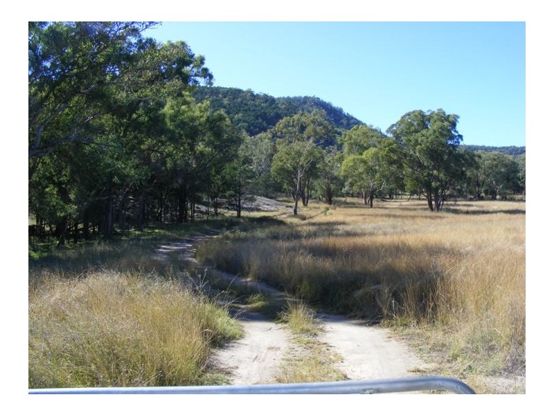 1544 Upper More Creek Road, Moore Creek NSW 2340