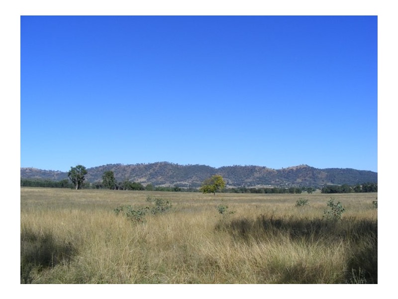 1544 Upper More Creek Road, Moore Creek NSW 2340