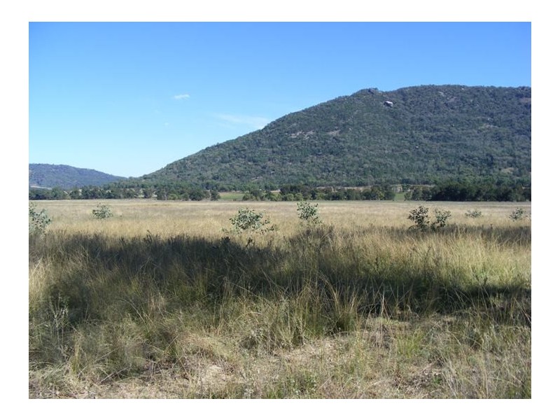 1544 Upper More Creek Road, Moore Creek NSW 2340