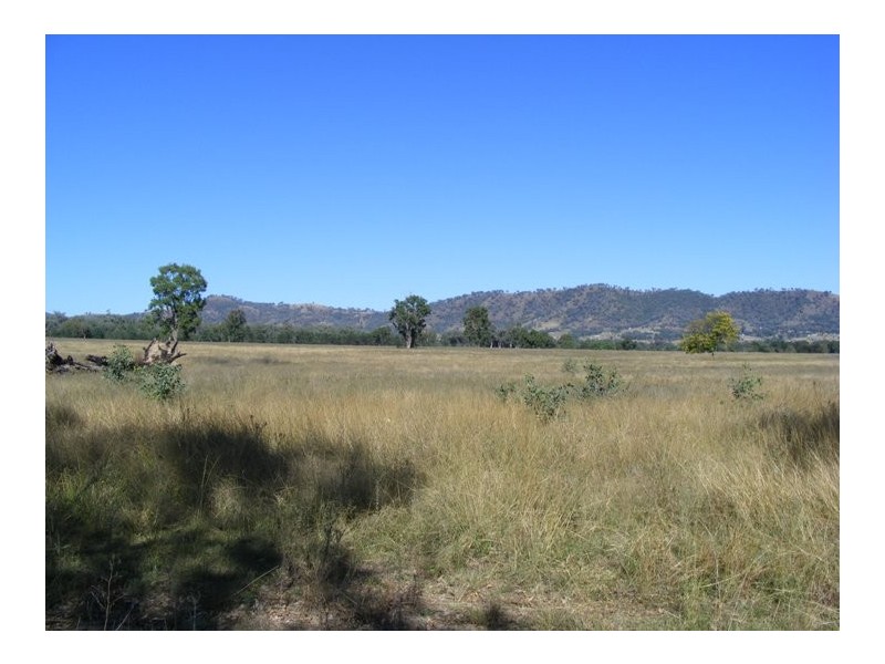 1544 Upper More Creek Road, Moore Creek NSW 2340