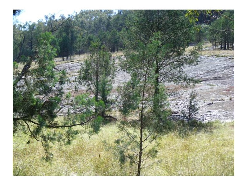 1544 Upper More Creek Road, Moore Creek NSW 2340