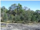 1544 Upper More Creek Road, Moore Creek NSW 2340