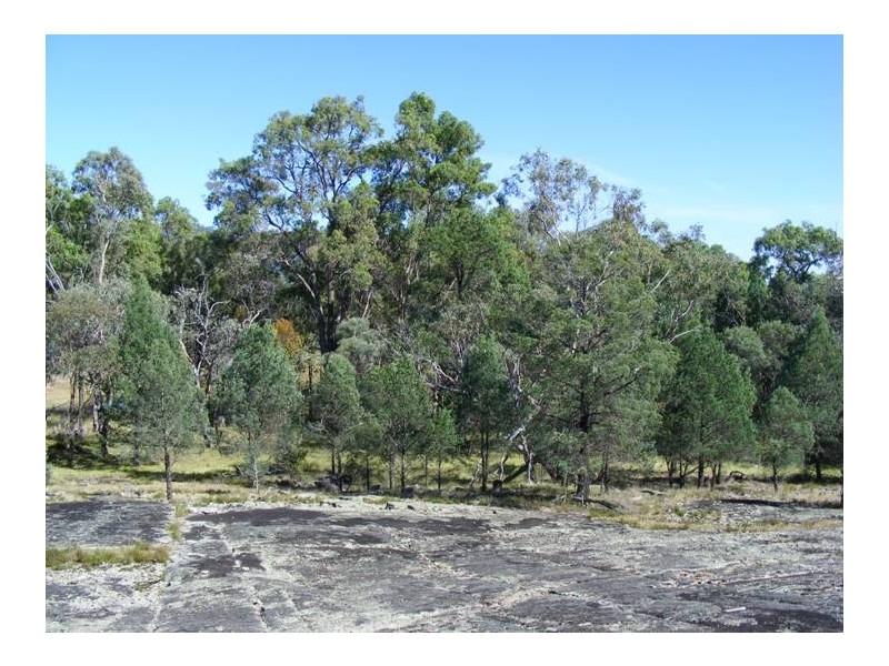 1544 Upper More Creek Road, Moore Creek NSW 2340