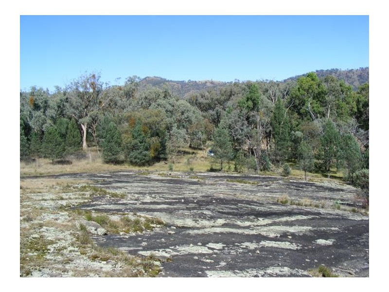 1544 Upper More Creek Road, Moore Creek NSW 2340