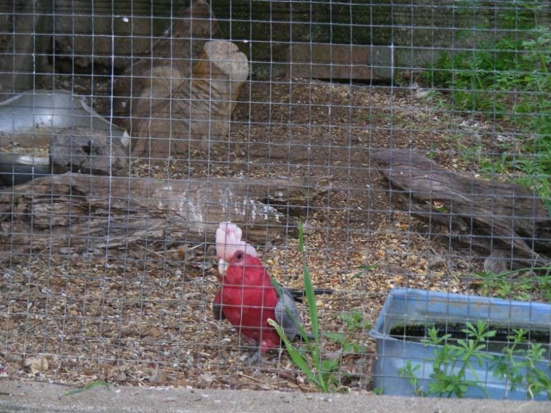 108 Stirling Road, Moore Creek, Tamworth NSW 2340