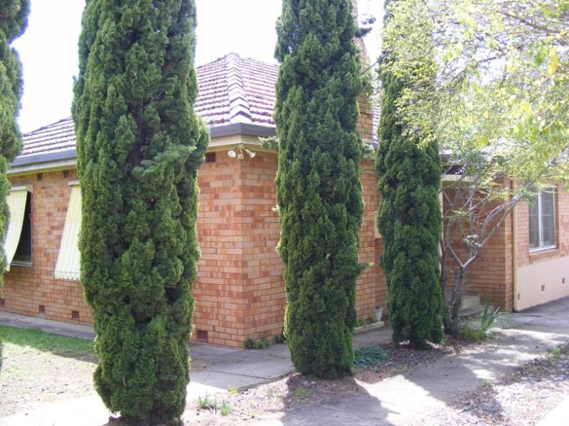 28 Parry Street, Tamworth NSW 2340