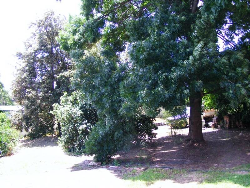 96 White Street, Tamworth NSW 2340