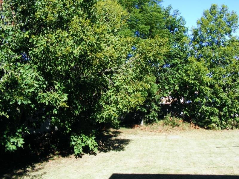 8 Wallamoul Street, Tamworth NSW 2340