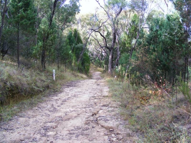 ‘Wudina’ 610 New England Gully Road, Moonbi NSW 2353