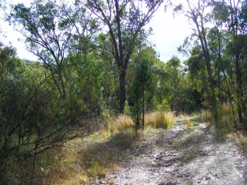 ‘Wudina’ 610 New England Gully Road, Tamworth NSW 2340