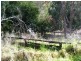 ‘Wudina’ 610 New England Gully Road, Tamworth NSW 2340