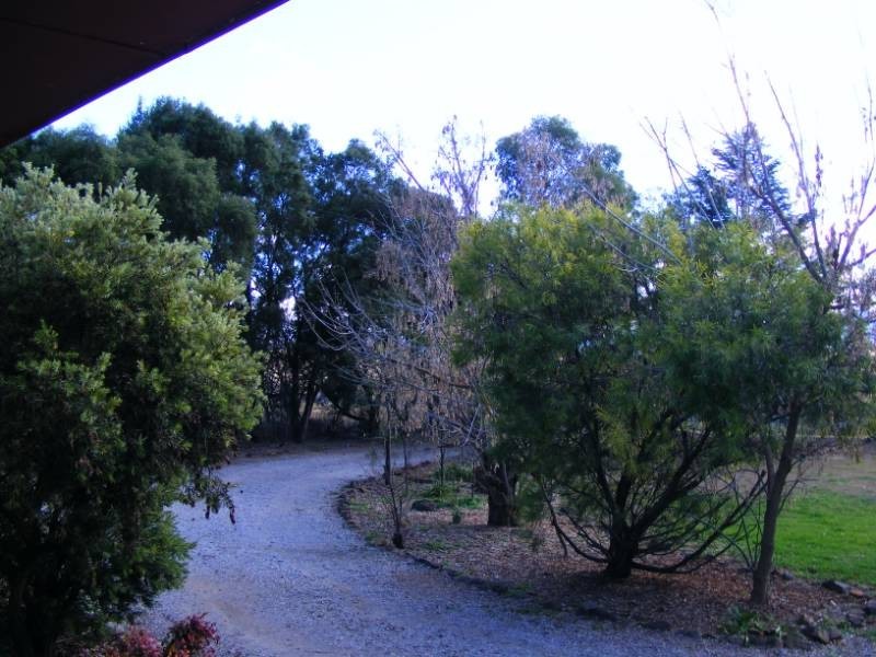 ‘Bangalay’ 109 Browns Lane, Tamworth NSW 2340