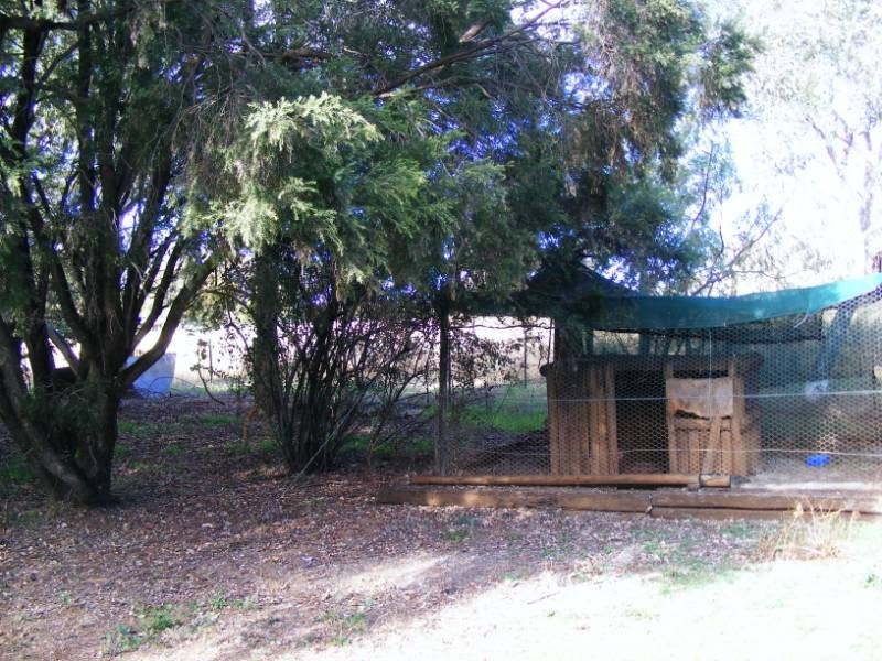 ‘Bangalay’ 109 Browns Lane, Tamworth NSW 2340