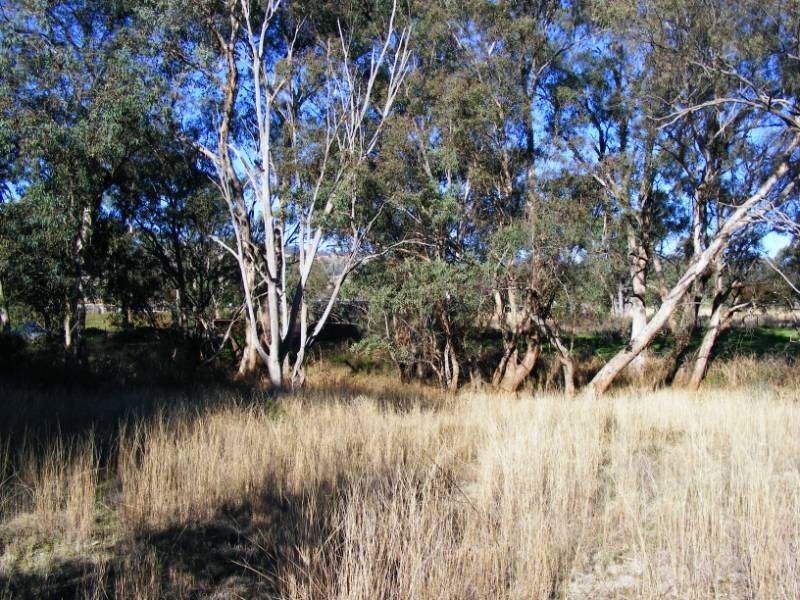 591 Moore Creek Road, Tamworth NSW 2340