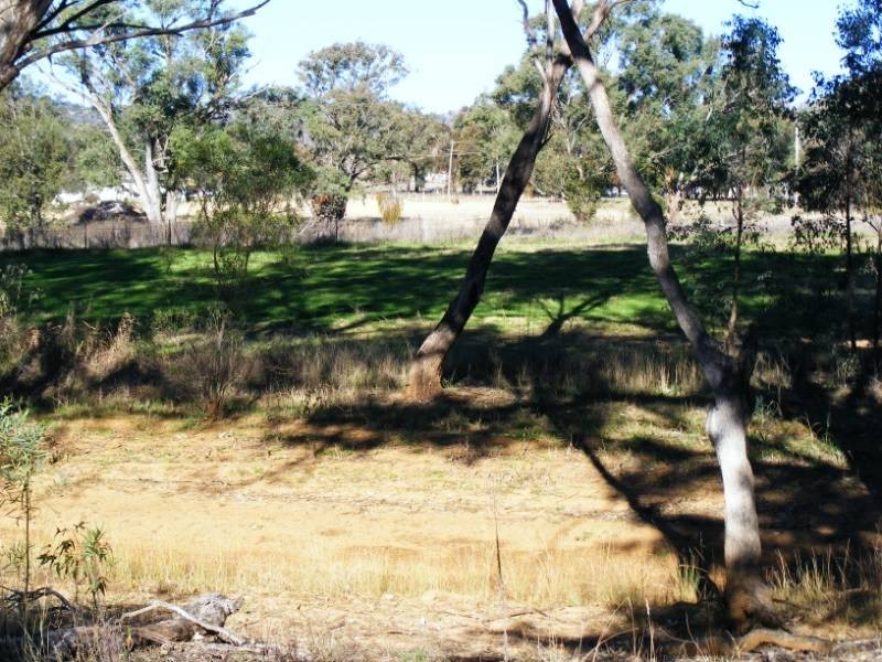 591 Moore Creek Road, Tamworth NSW 2340