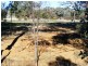 591 Moore Creek Road, Tamworth NSW 2340