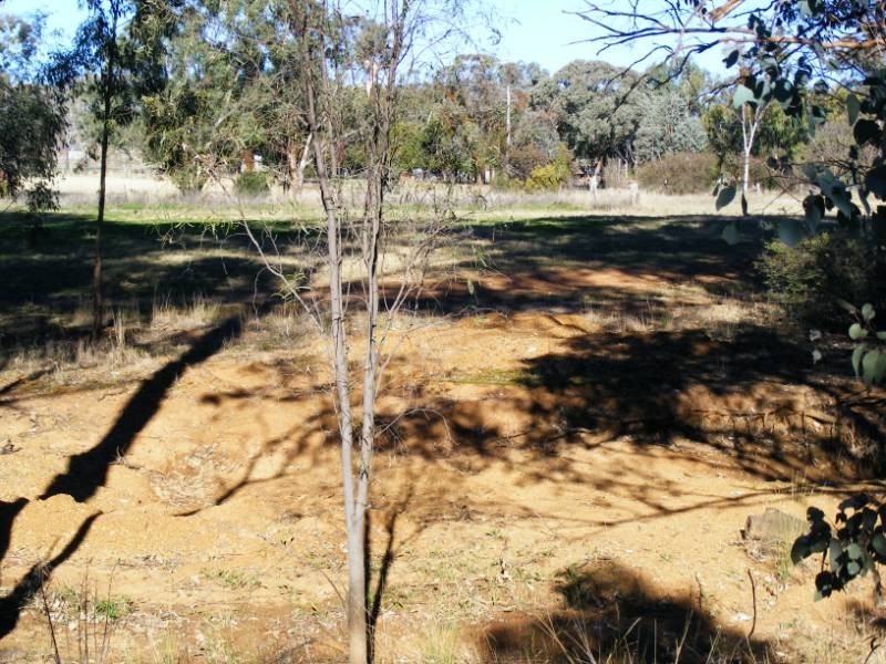 591 Moore Creek Road, Tamworth NSW 2340