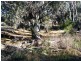 591 Moore Creek Road, Tamworth NSW 2340