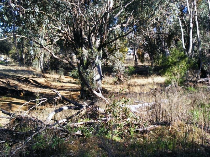 591 Moore Creek Road, Tamworth NSW 2340