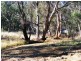 591 Moore Creek Road, Tamworth NSW 2340