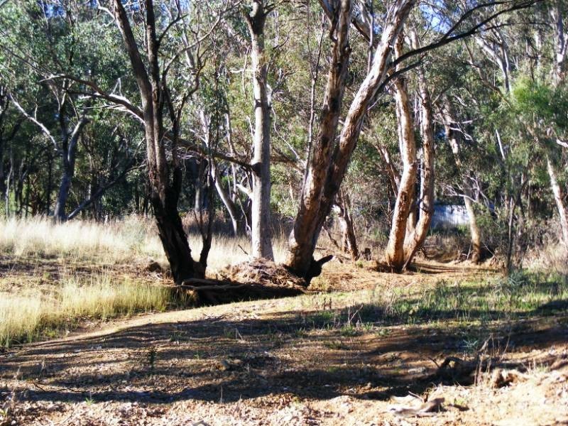 591 Moore Creek Road, Tamworth NSW 2340