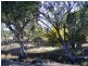 591 Moore Creek Road, Tamworth NSW 2340