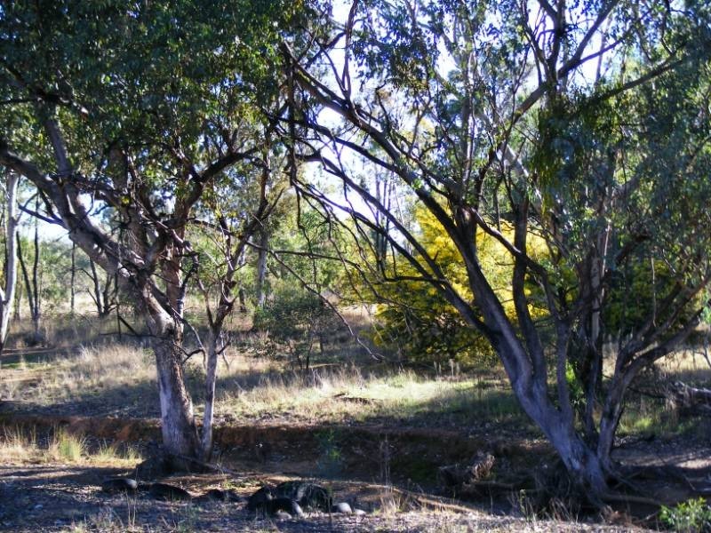 591 Moore Creek Road, Tamworth NSW 2340