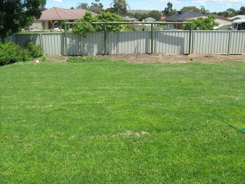 66 MORILLA STREET, Tamworth NSW 2340