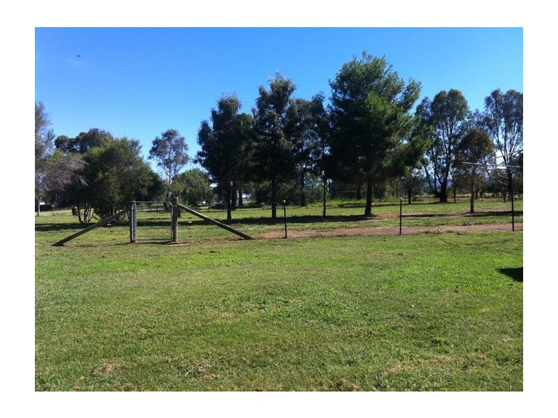 984 Manilla Road, Hallsville NSW 2340