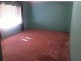 16 Maxwell Street, Tamworth NSW 2340