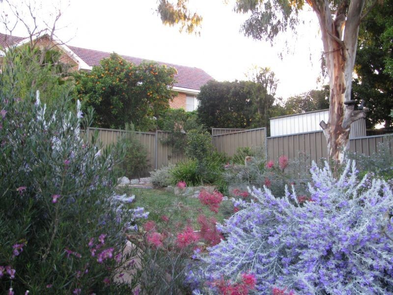 8 Amaroo Road, Tamworth NSW 2340