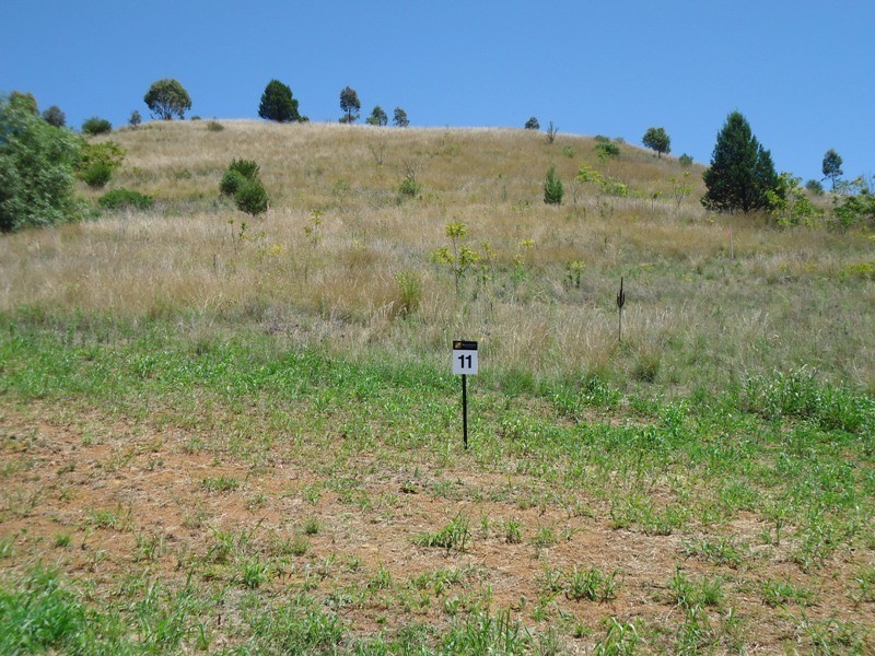 Lot 11 Oliver Street, Tamworth NSW 2340