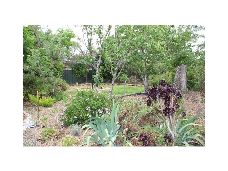 9 Pine street, Kootingal, Tamworth NSW 2340