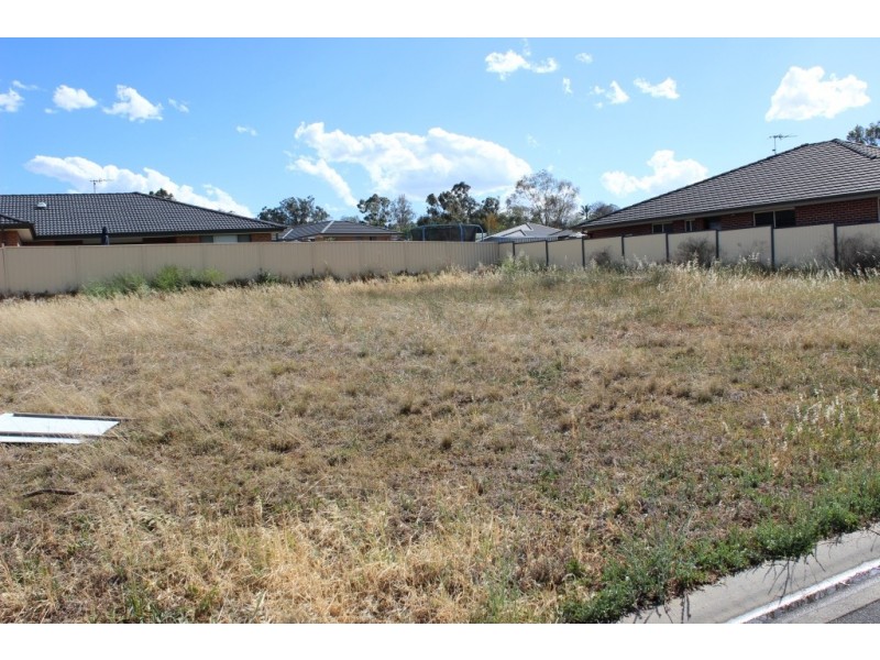 53 Harrier Parade, Calala NSW 2340