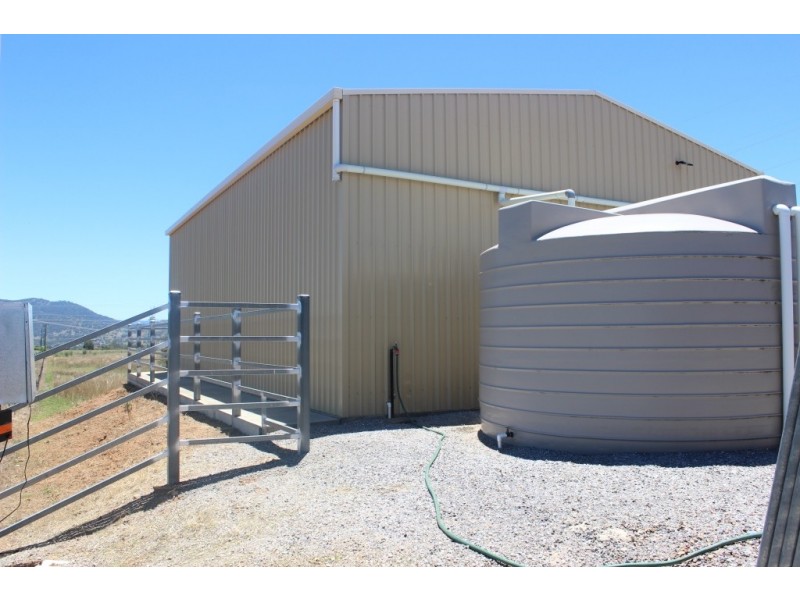 Lot 43 Burgmans Lane, Tamworth NSW 2340