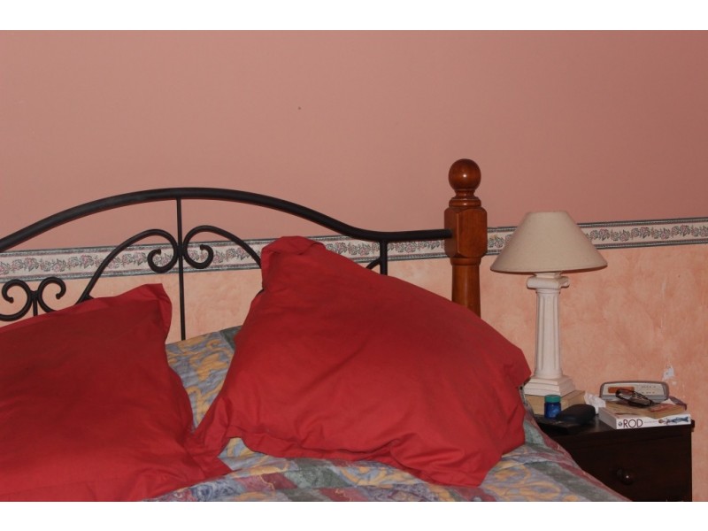 16 Jill Street, Tamworth NSW 2340