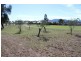 Lot 11 The Heights, Tamworth NSW 2340